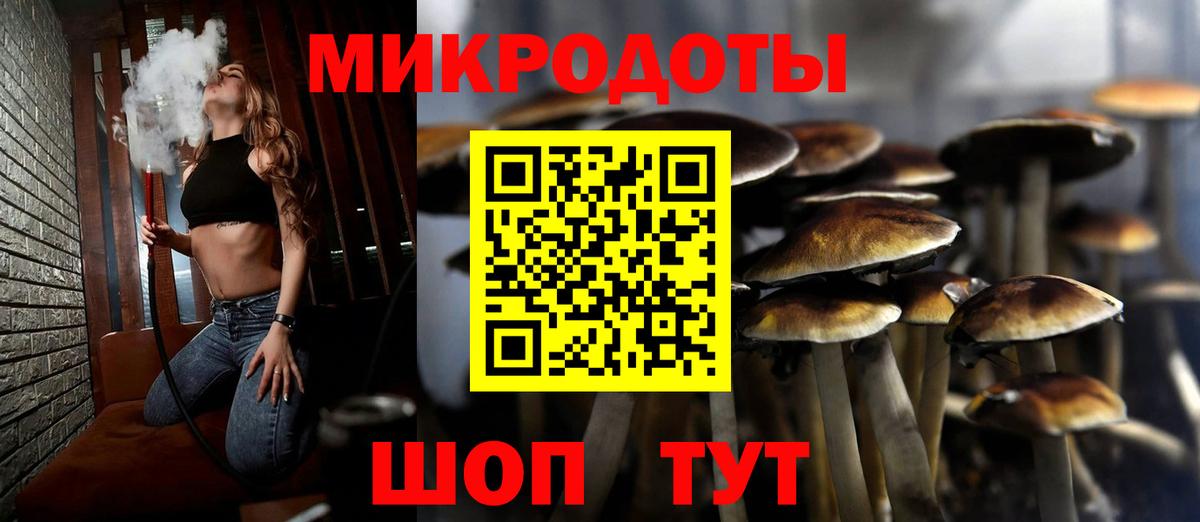 Псилоцибиновые грибы мицелий Гуково