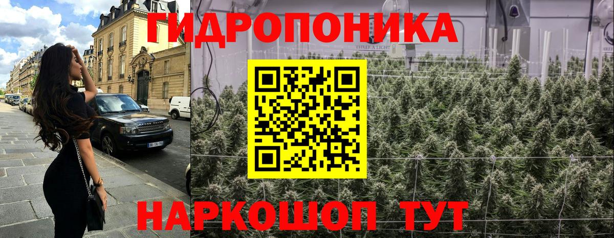 Канабис Amnesia Гуково
